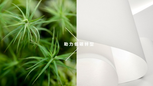 芬欧蓝泰标签发布全新可持续发展故事主线，助力行业低碳转型