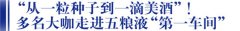 从一粒种子到一滴美酒，透视五粮液产品力不断提升的“底层逻辑”